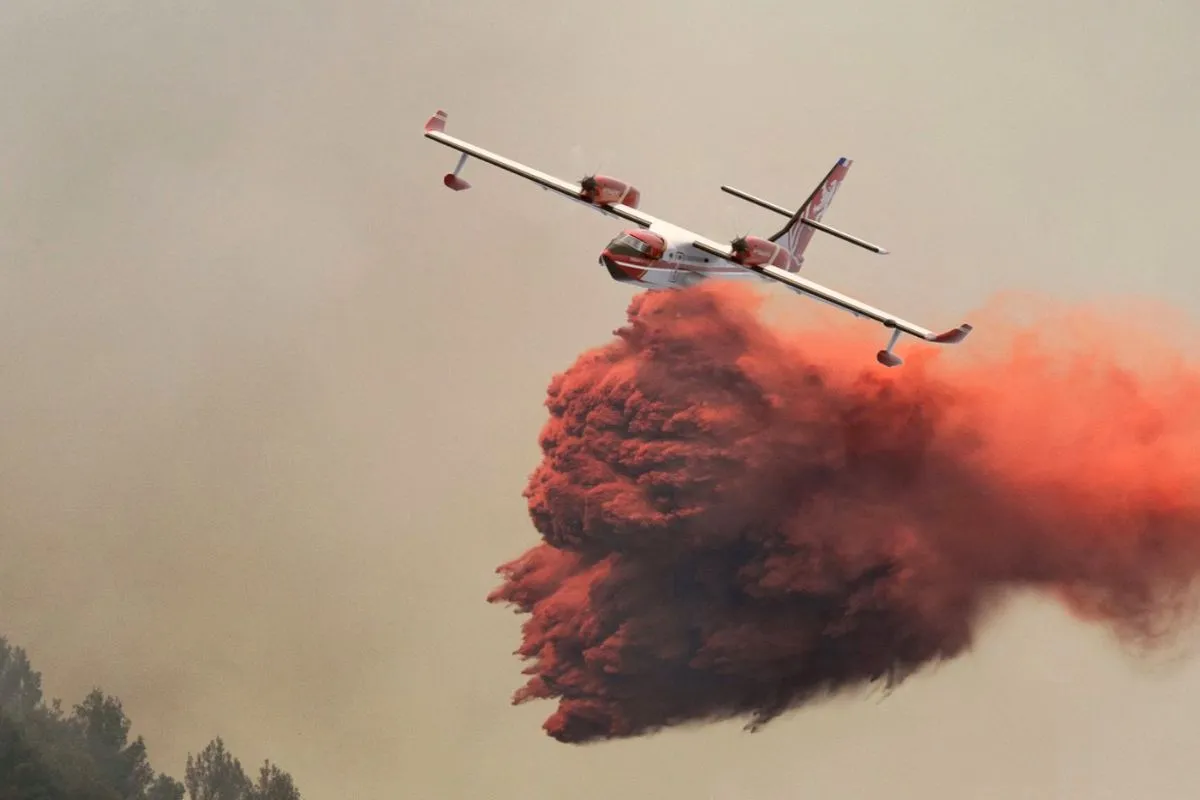 La réponse française aux incendies de forêts viendra de Bordeaux avec ce 