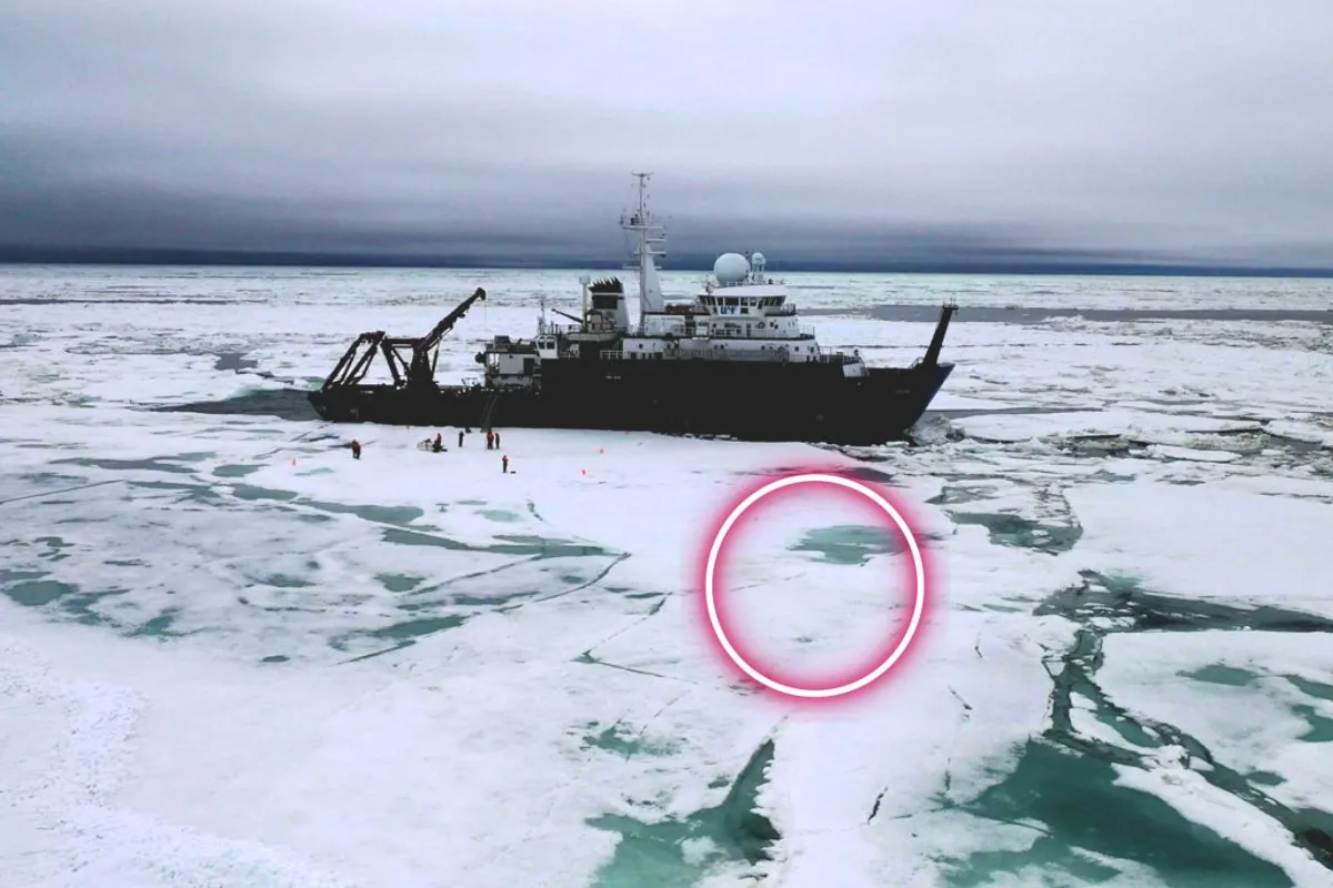 Cette expédition de 45 jours dans les glaces de l'Arctique n'aura pas été vaine puisqu'un animal fascinant et record en a été rapporté