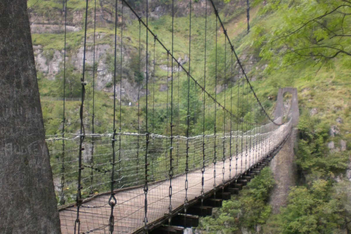 12615 passerelle holzarte2