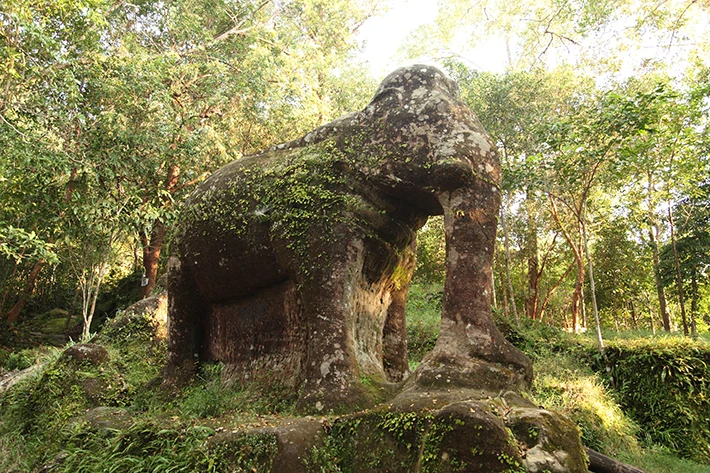De Phnom Penh à Angkor : l’émouvant retour du Cambodge dans l’œil du film de Sébastien Braquet, le site de Bayon !