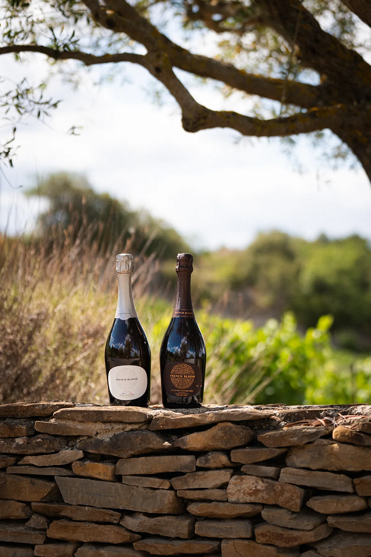 Avec son domaine de Limoux, French Bloom ouvre une nouvelle ère du sans alcool