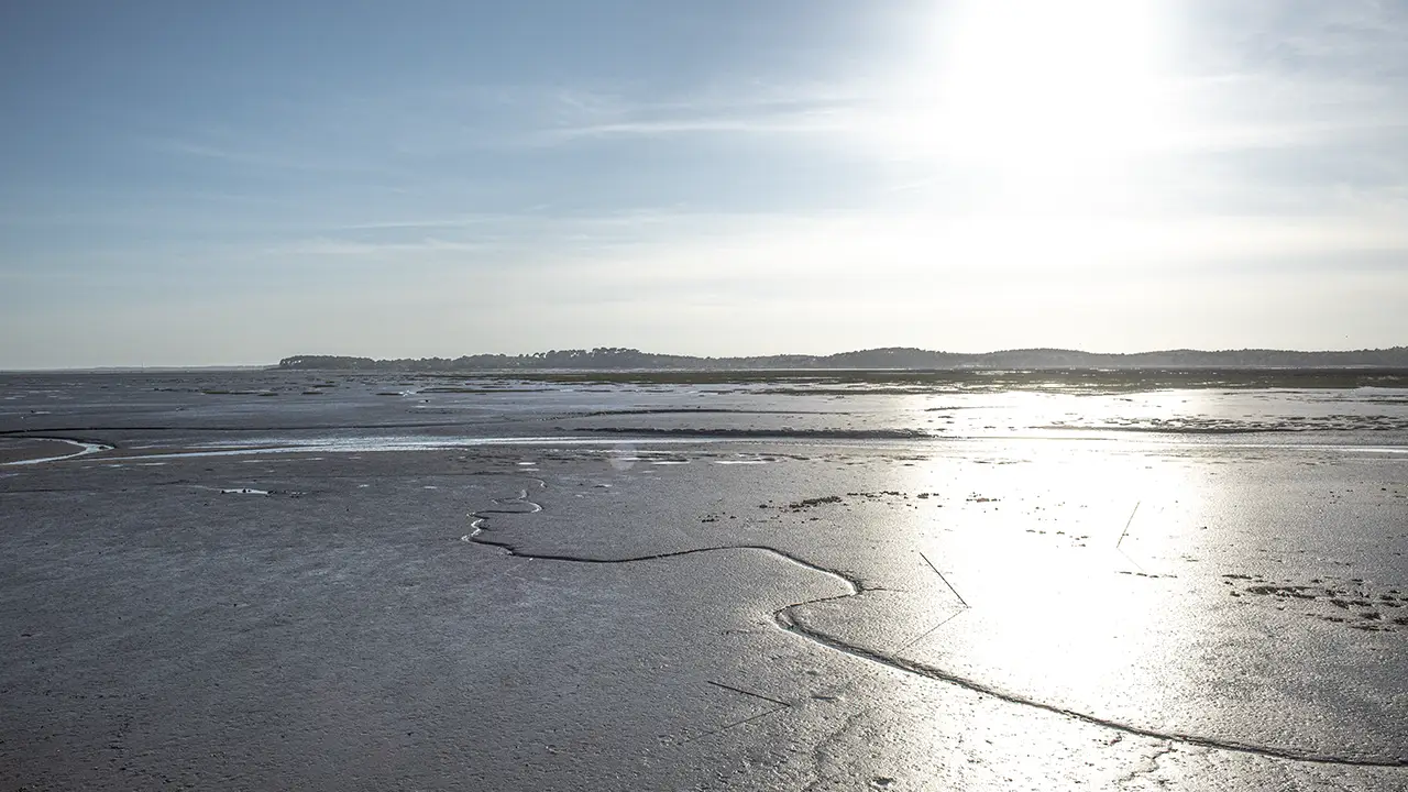 Avec 58 départements en rouge, la France ne découvre que trop tard qu'elle n'a pas été construite pour vivre sous 44°C