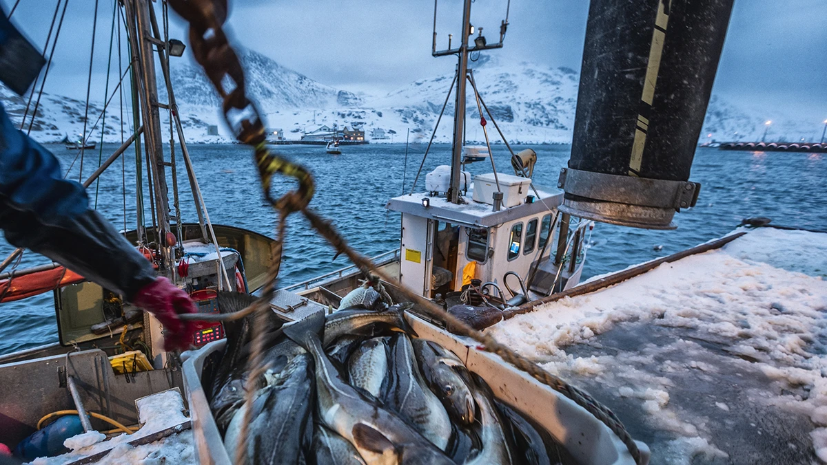 Les forçats de l'Atlantique : quand La Rochelle et Bordeaux vivaient au rythme des morutiers